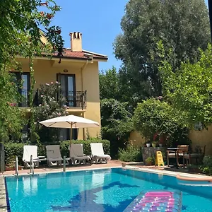 https://villa-danlin-hotel.aegeanhotels.net